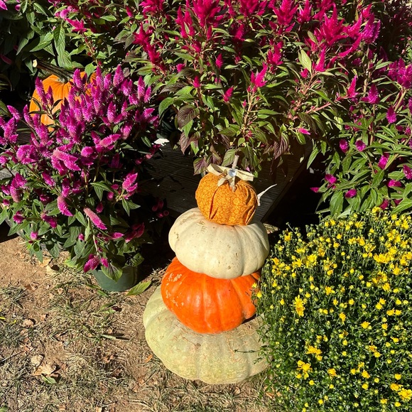 Pumpkin Decor - Picture 8 of 12